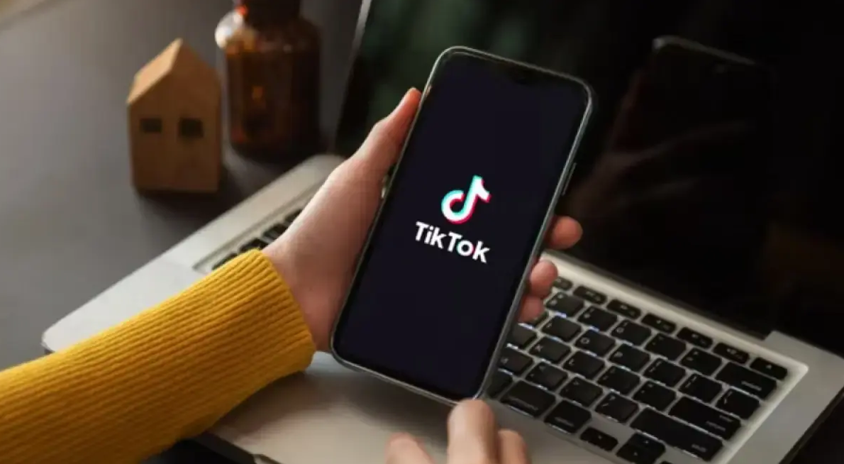 Cara Menggunakan Snaptik untuk Download Video TikTok