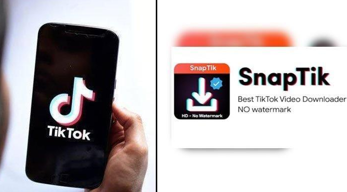 Cara Menggunakan Snaptik untuk Download Video TikTok